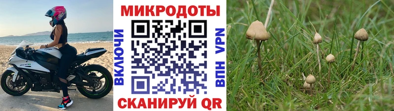 OMG ONION  Новая Ляля  Галлюциногенные грибы MAGIC MUSHROOMS 